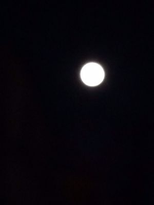 c0201427_19412597.jpg