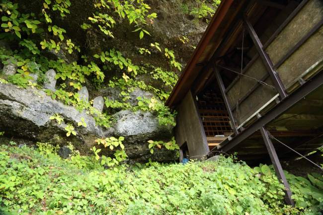 f0017530_2312813.jpg