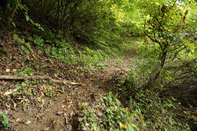 f0017530_2321764.jpg