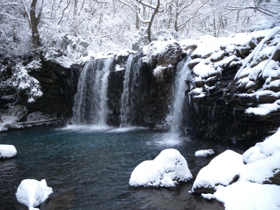 e0272335_1832453.jpg