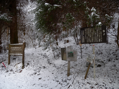 e0272335_19283570.jpg