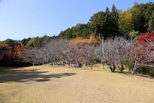 a0242438_18443100.jpg