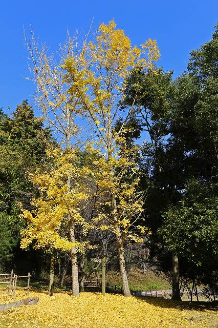 a0242438_186731.jpg