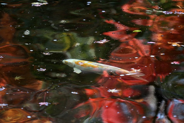 a0242438_1873177.jpg