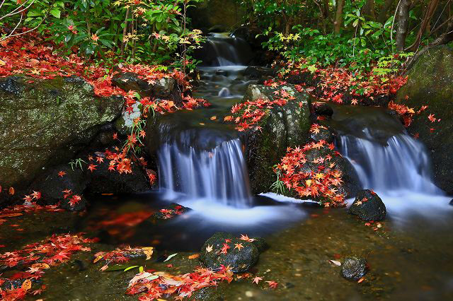 a0242438_1873679.jpg