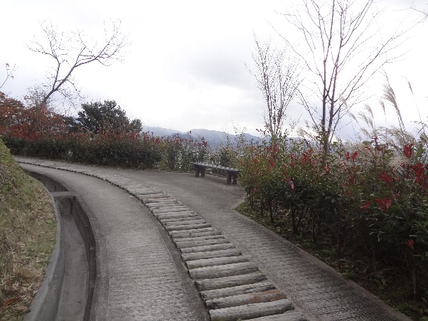 b0149340_2039886.jpg