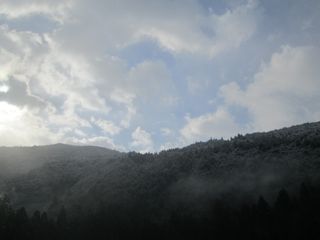 a0054948_1245153.jpg
