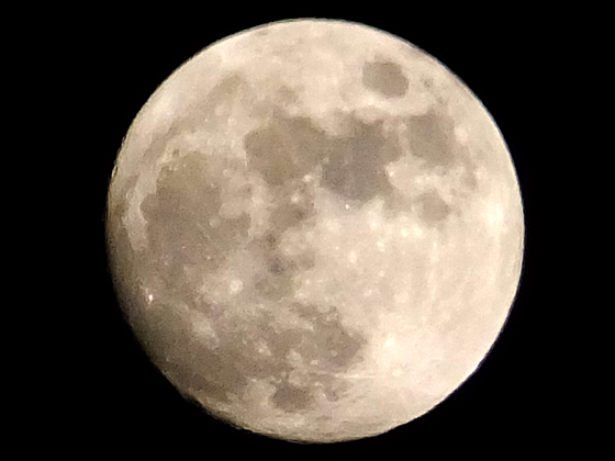 c0039153_12172833.jpg