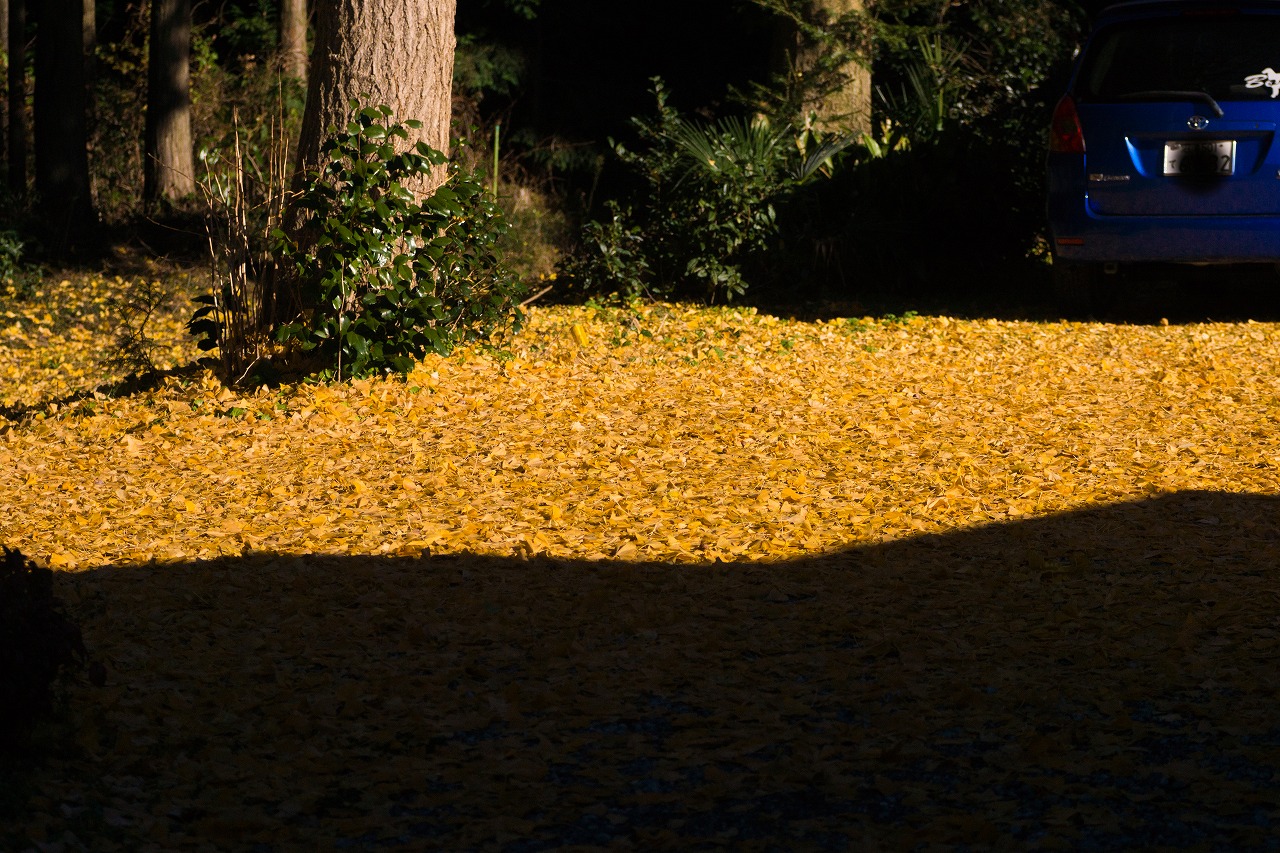 c0260264_1416659.jpg