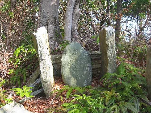 c0219866_17565319.jpg