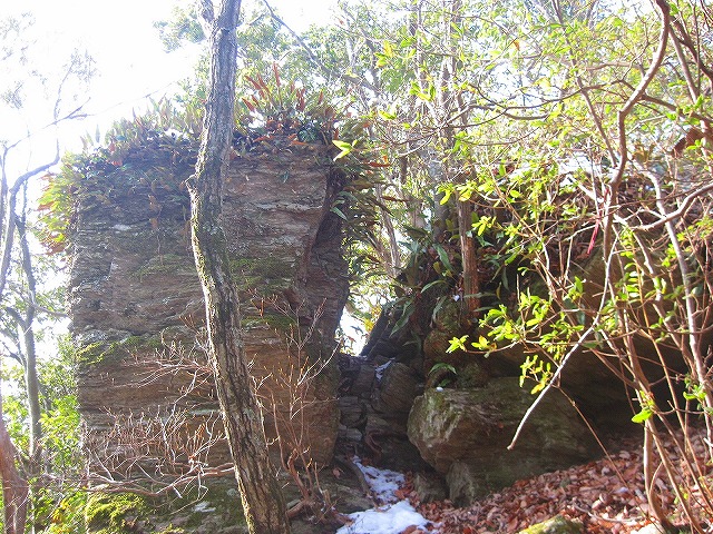 c0219866_175687.jpg