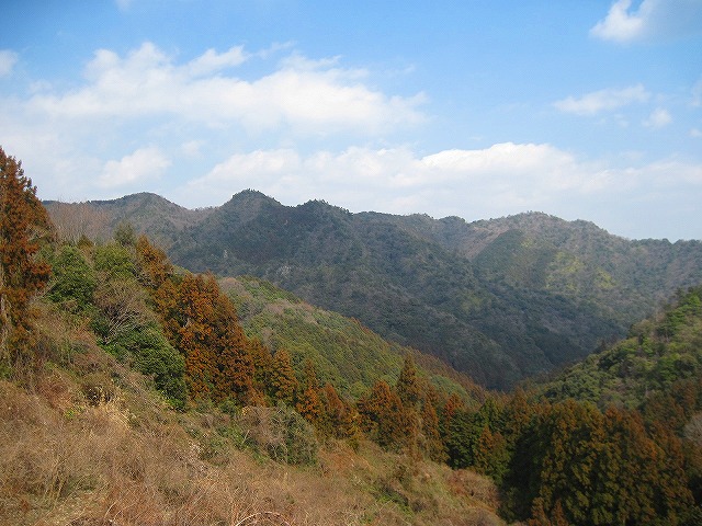 c0219866_1757267.jpg