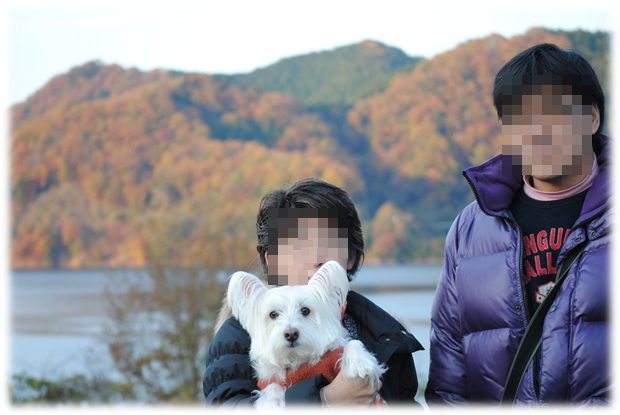 b0242873_22155217.png