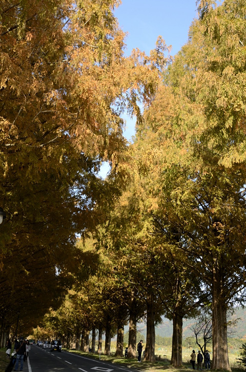 f0108478_17191828.jpg