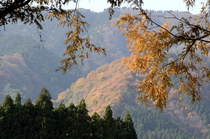 f0108478_17344092.jpg