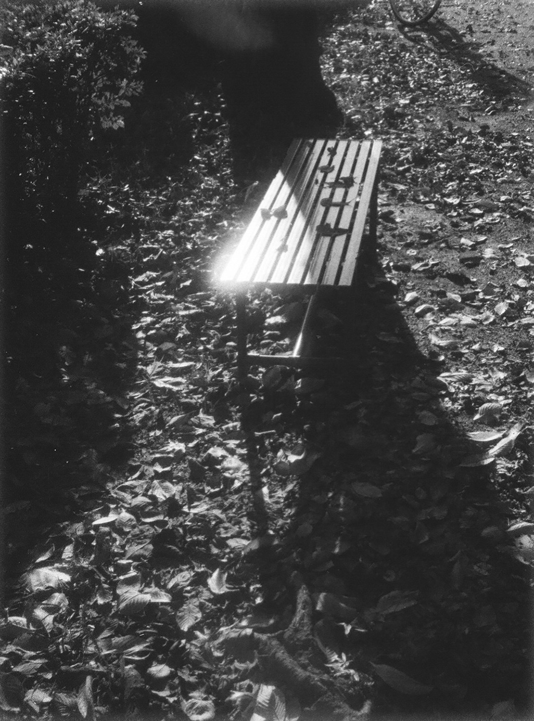 f0121181_3113421.jpg