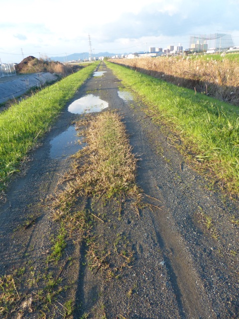 f0357487_224050100.jpg