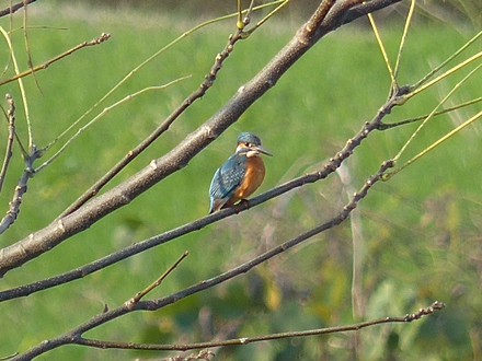 f0357487_2372217.jpg