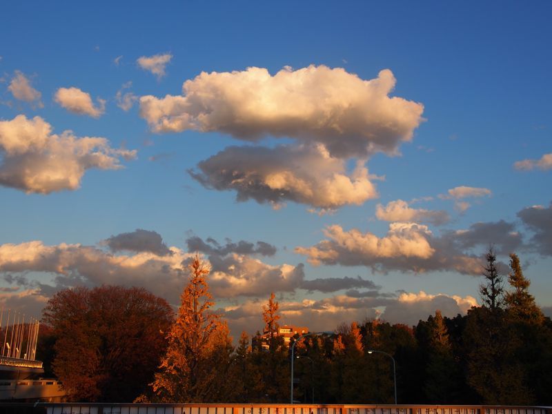 b0311190_15301164.jpg
