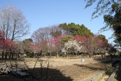a0325492_08201104.jpg