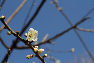 a0325492_08202451.jpg