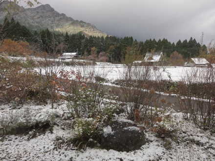 f0209394_14361331.jpg