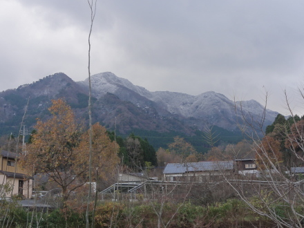 f0209394_14391446.jpg