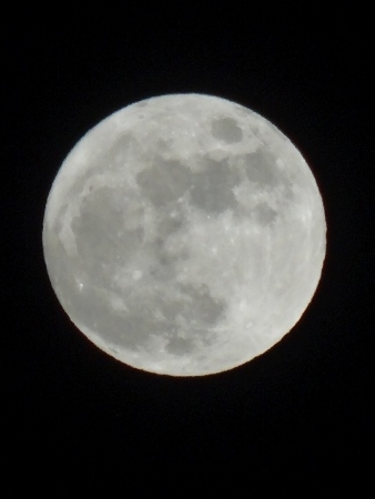 a0125598_21231185.jpg