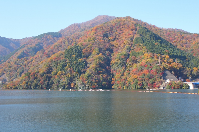 c0204298_1124617.jpg