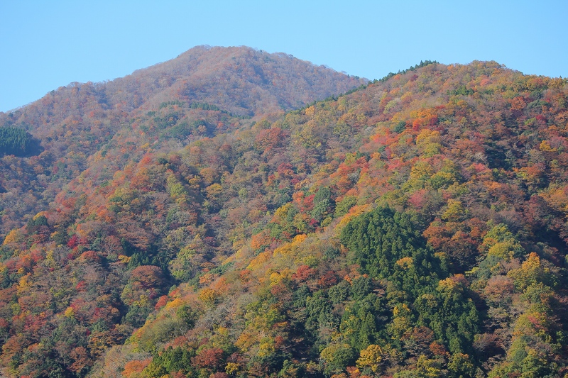 c0204298_11274341.jpg