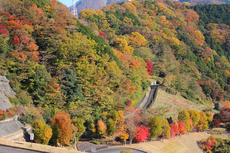 c0204298_11325653.jpg