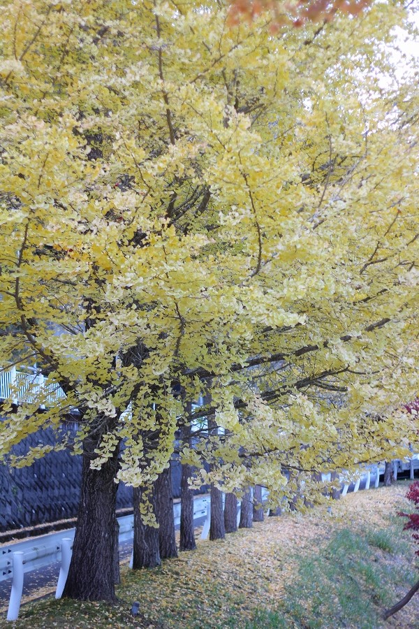 c0204298_13213688.jpg