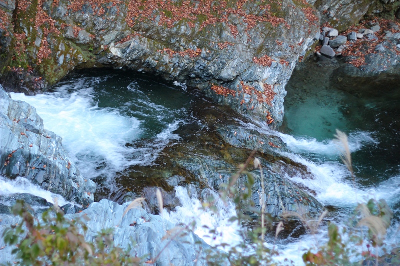 c0204298_1322425.jpg