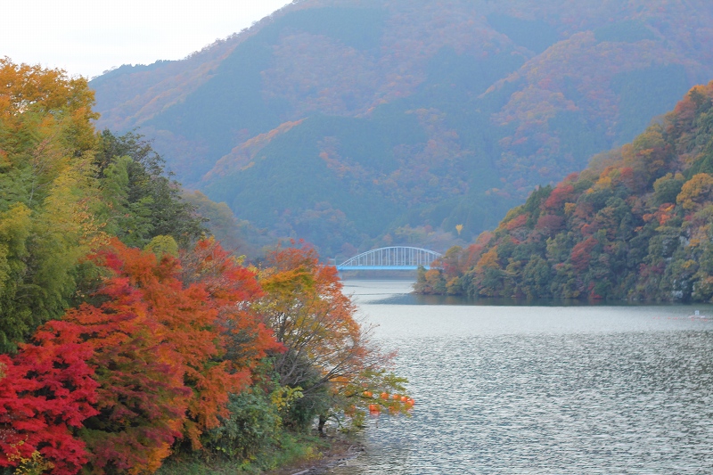 c0204298_1393795.jpg