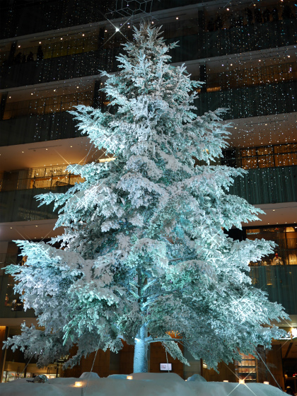 a0164102_10122854.jpg