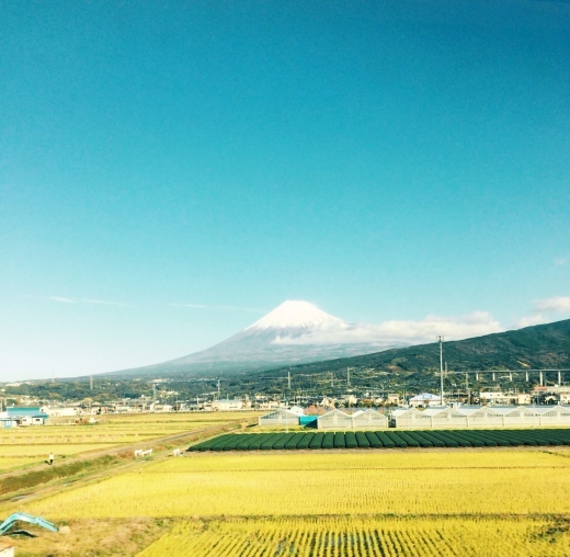 c0172504_15082840.jpg