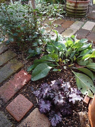 e0234004_17242635.jpg
