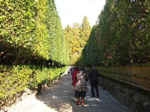 e0245404_12444157.jpg