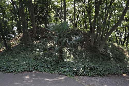 a0278809_1126776.gif
