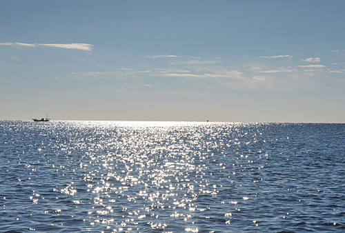 a0278809_11432968.gif