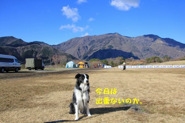 d0224111_22410410.jpg