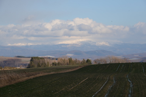 e0335926_22251838.jpg