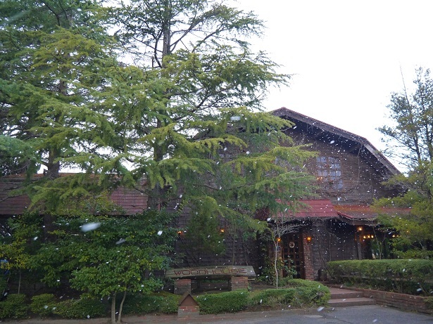 f0231829_18215138.jpg