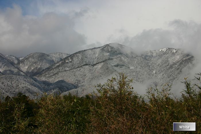 c0227134_6531080.jpg