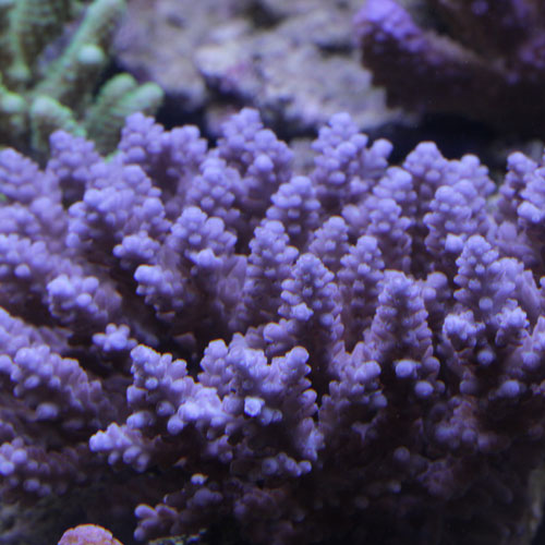 d0221436_22344955.jpg