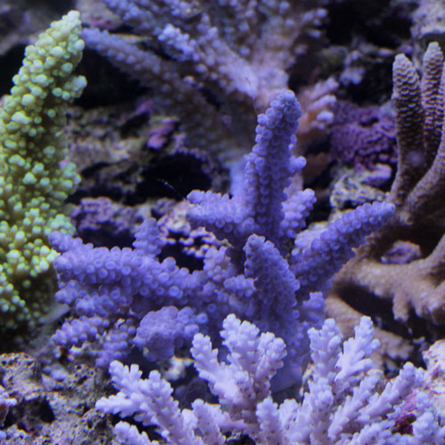d0221436_2235083.jpg