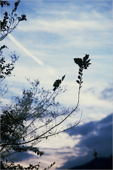 e0011137_2148174.jpg