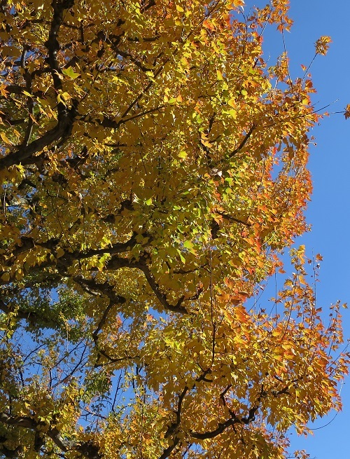 b0178339_13394101.jpg