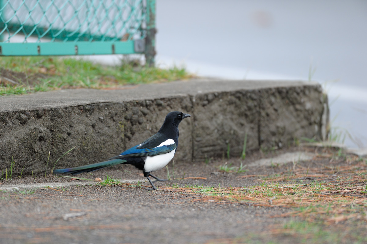 a0039245_22333869.jpg