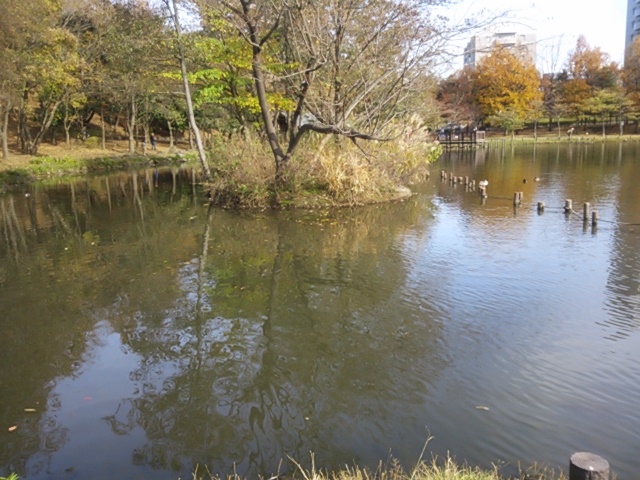 e0121548_19405839.jpg